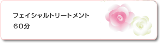 フェイシャルトリートメント60